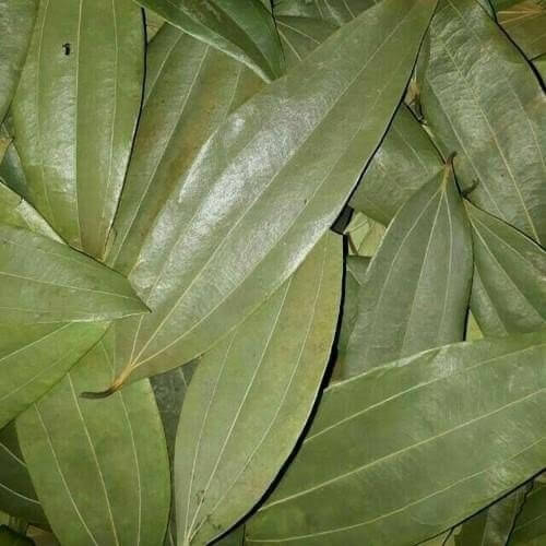 Bay Leaf